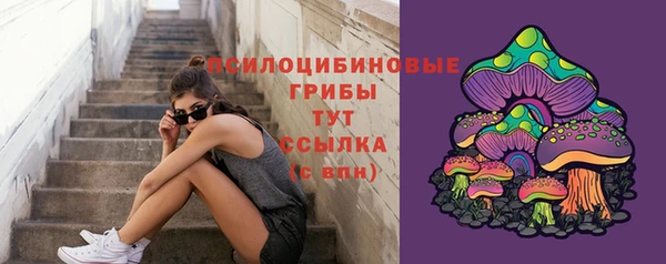 spice Абинск