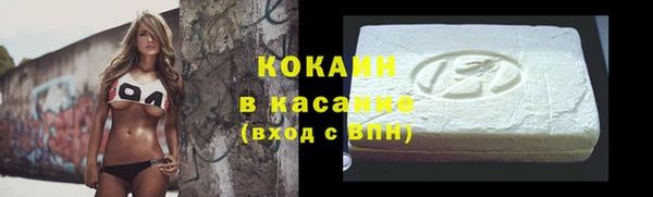 дживик Абаза