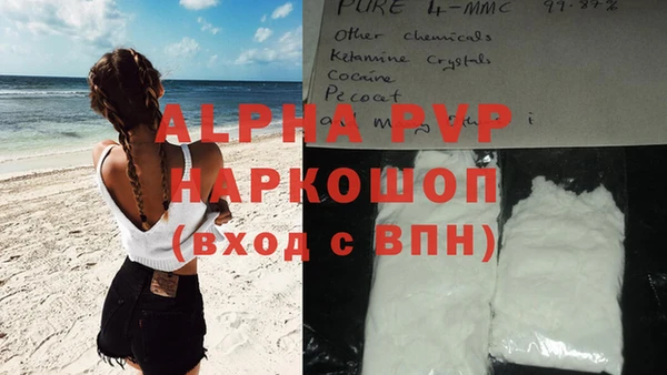 индика Нязепетровск