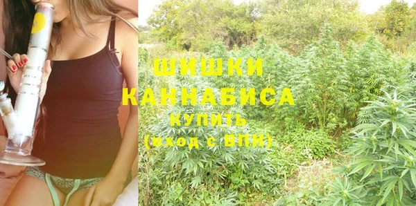 дживик Абаза