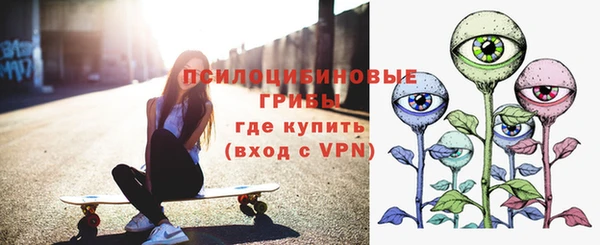 дживик Абаза