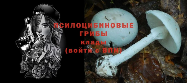 spice Абинск