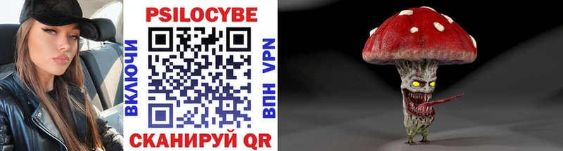 Галлюциногенные грибы Psilocybe  Тырныауз 